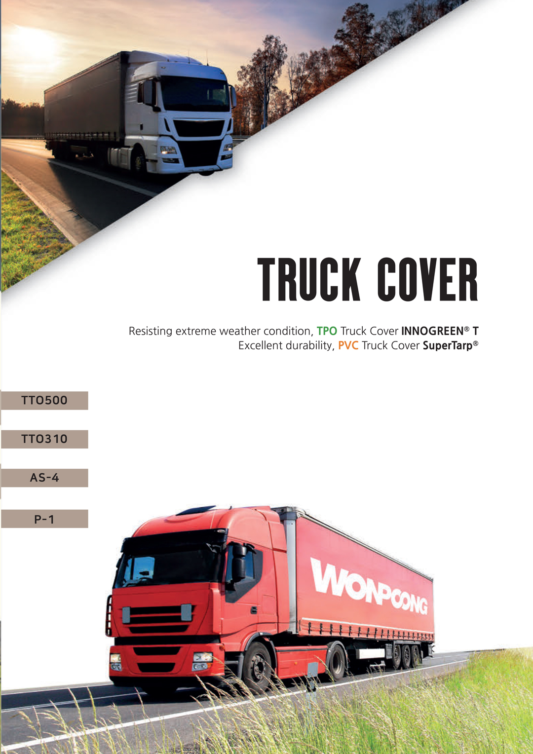 Truck cover