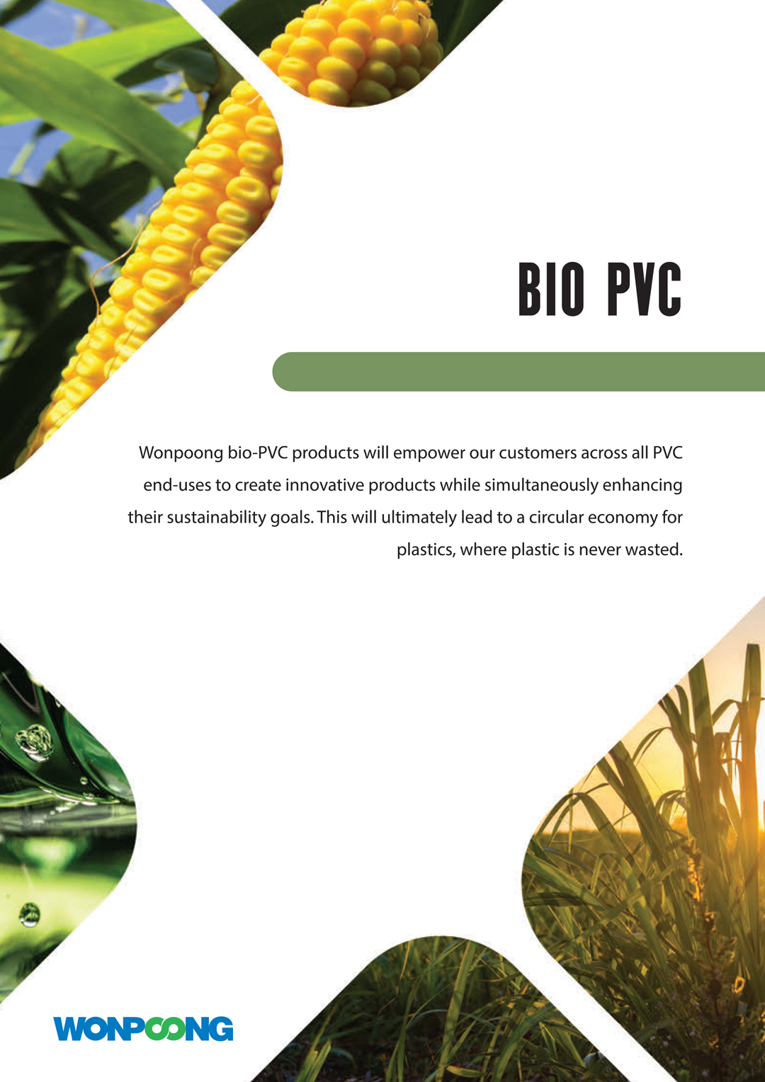 BIO PVC