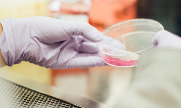 안심하고 사용하는 원풍의 항균처리 원단